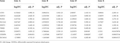 ATF3 promotes ferroptosis in sorafenib-induced cardiotoxicity by suppressing Slc7a11 expression